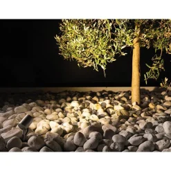 Ago garden | brown