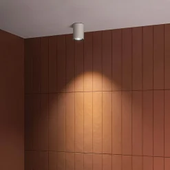 Ago up | brown