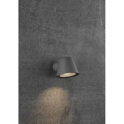 Aleria w | brass