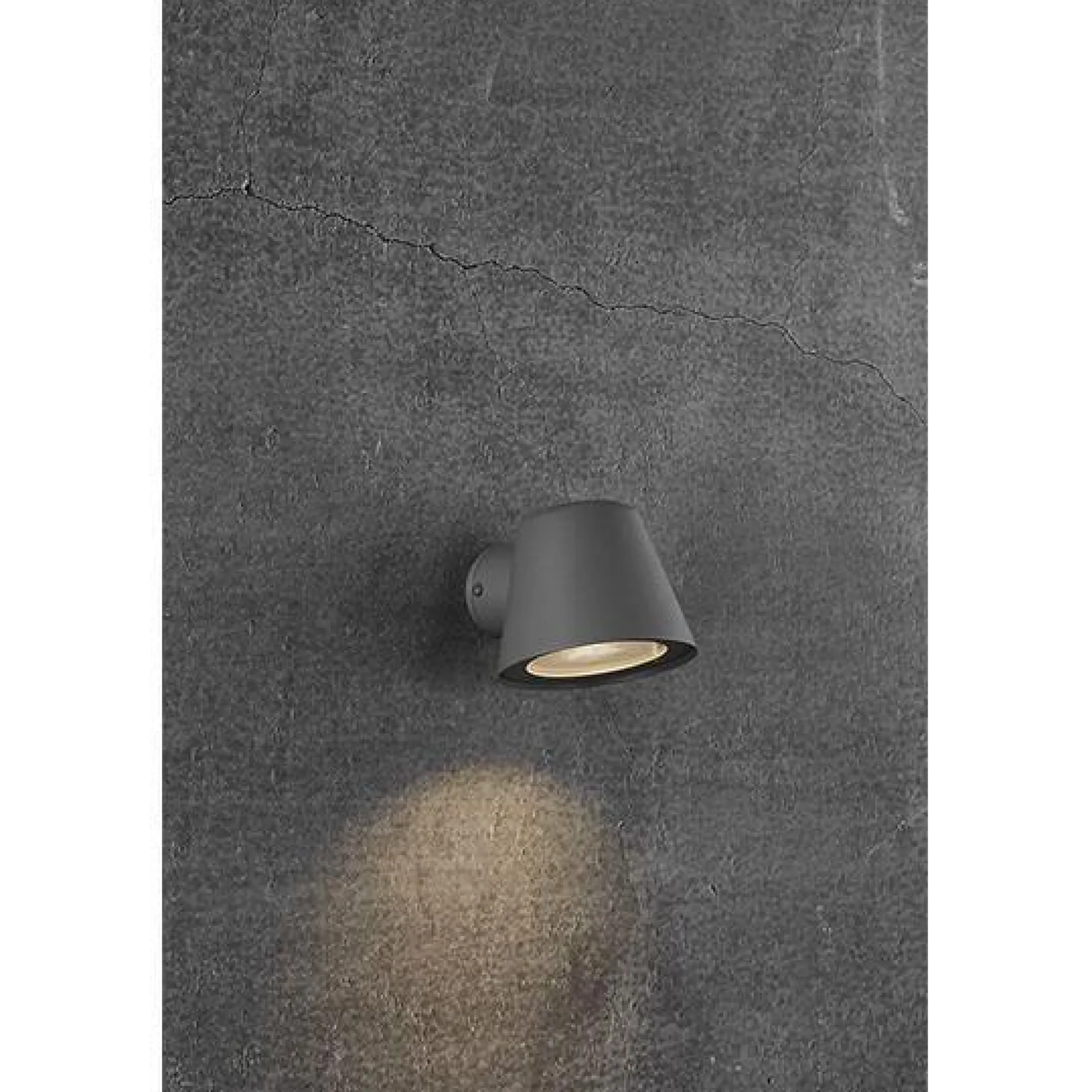 Aleria w | brass