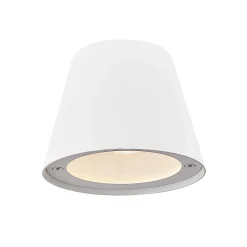 Aleria w | brass