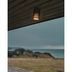 Aludra ceiling | anthracite