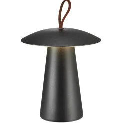 Ara to go portable | black