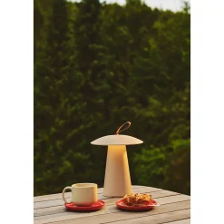 Ara to go portable | black