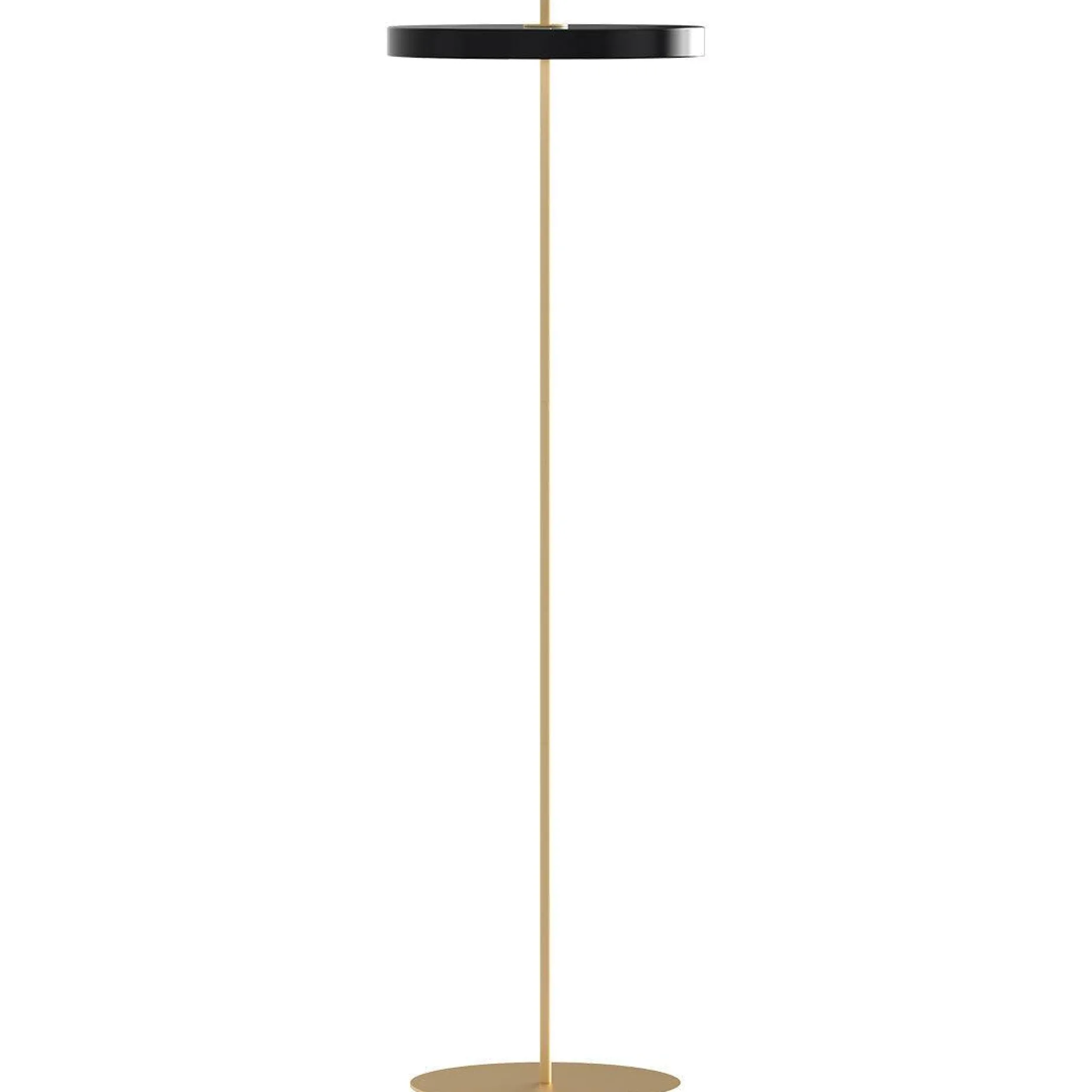 Asteria floor | black