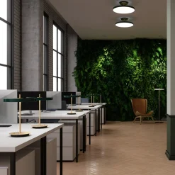Asteria floor | forest