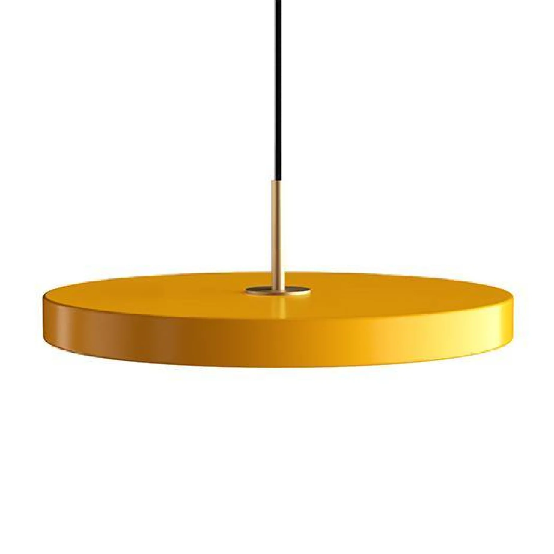 Asteria medium 43 | saffron yellow