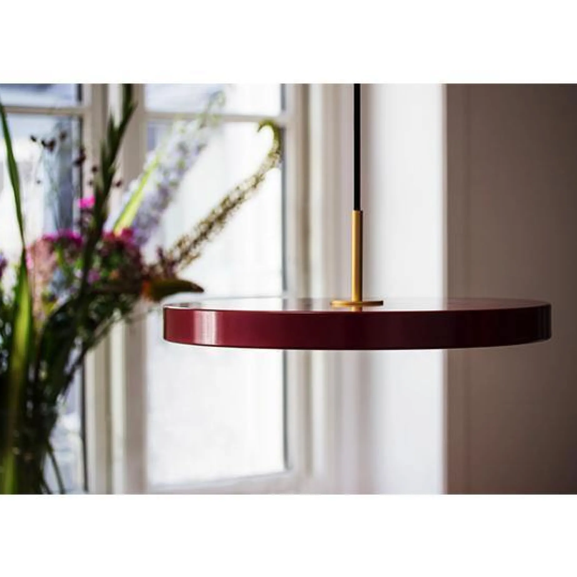 Asteria medium 43 | saffron yellow