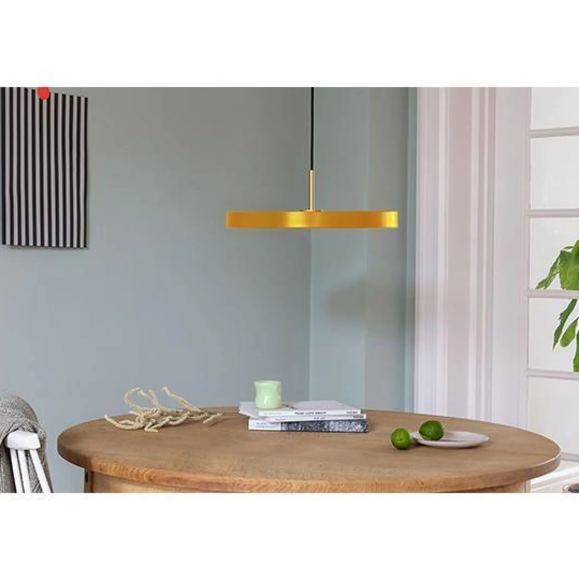 Asteria medium 43 | saffron yellow