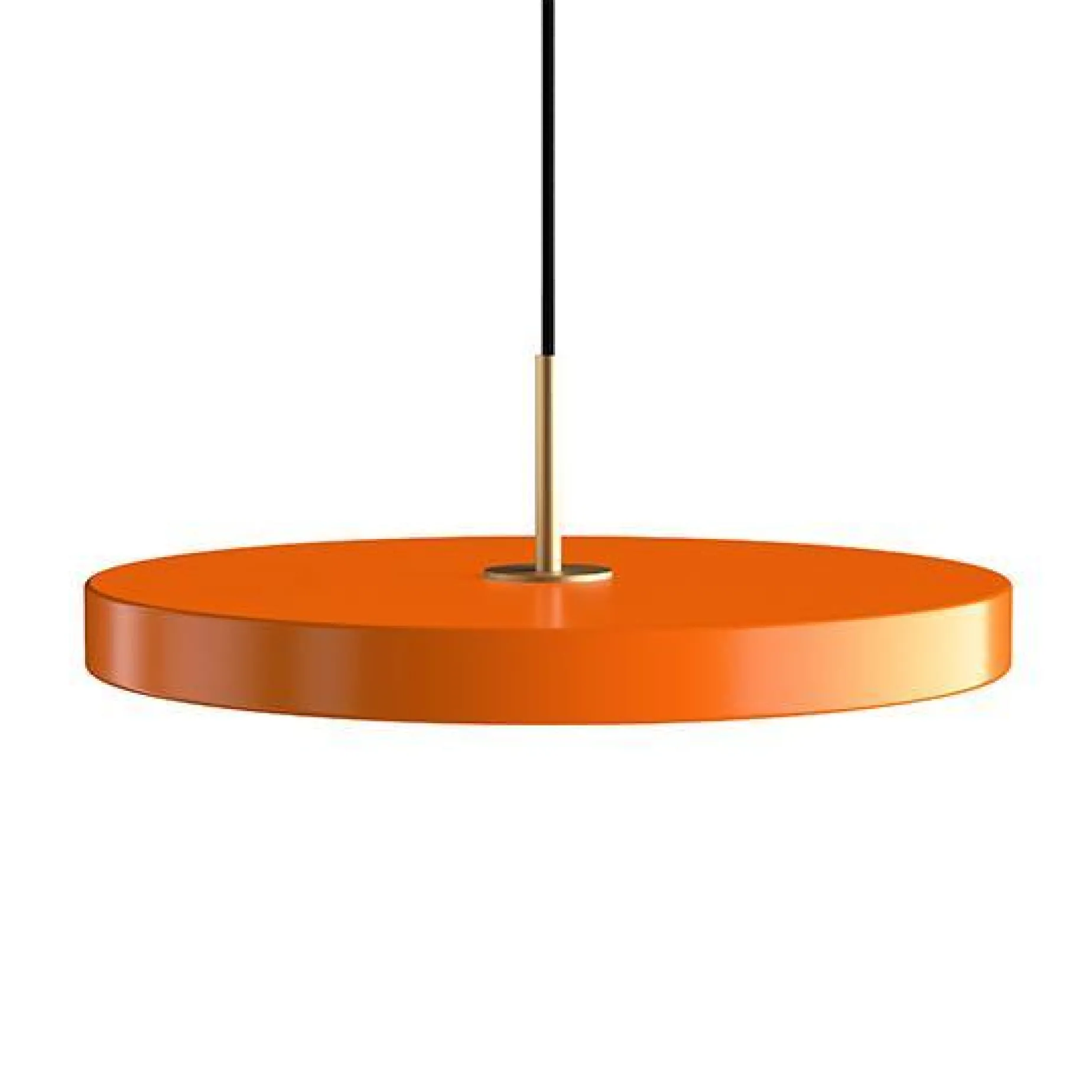 Asteria medium 43 | saffron yellow