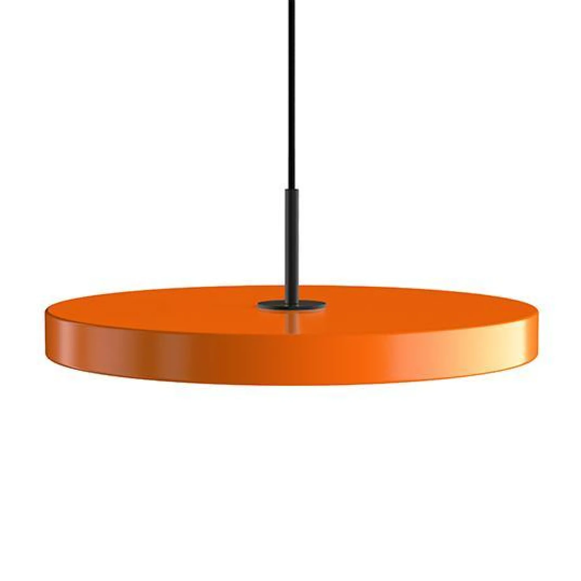Asteria medium 43 | saffron yellow