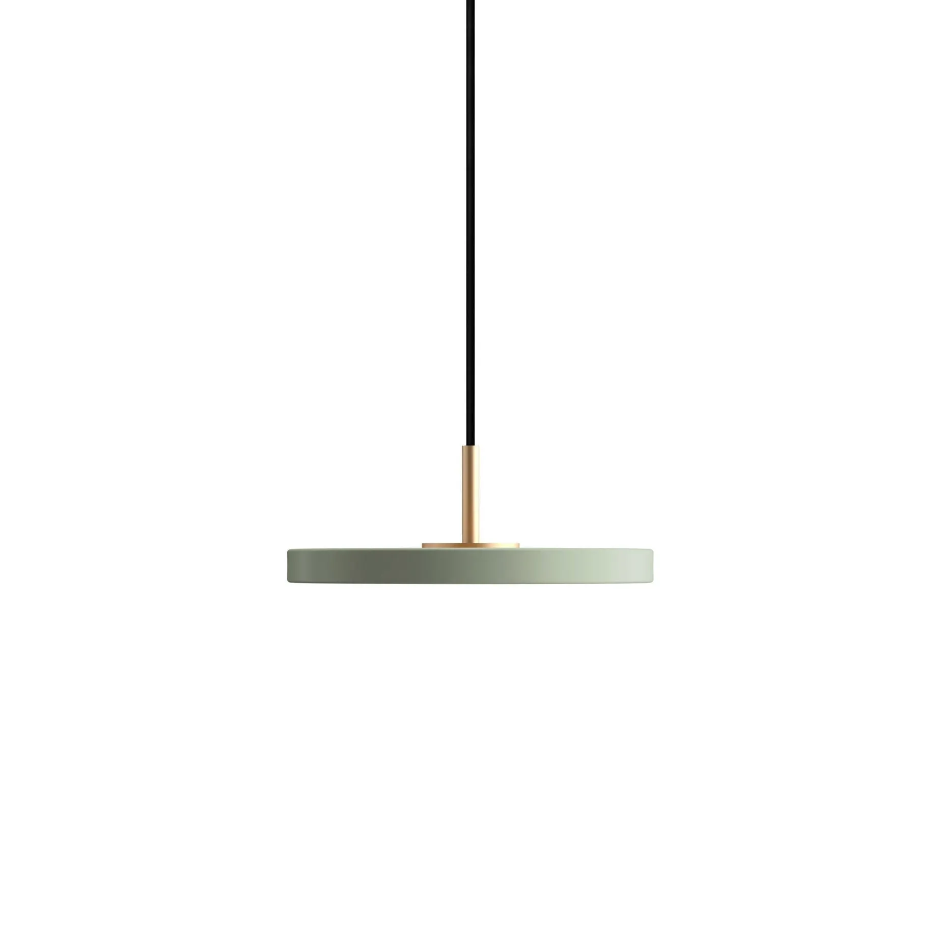 Asteria micro 15 | forest green
