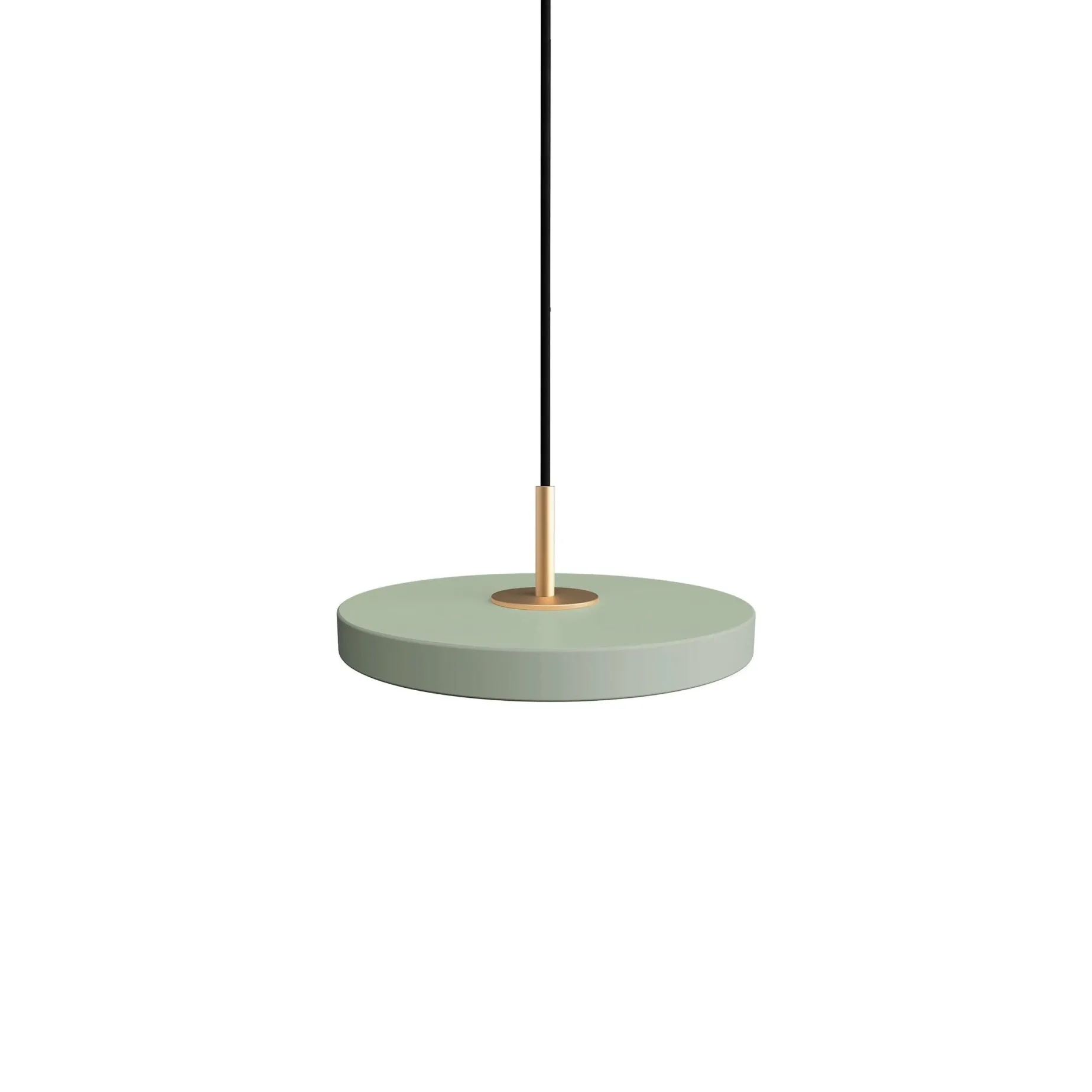 Asteria micro 15 | nuance olive
