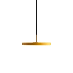 Asteria micro 15 | nuance olive
