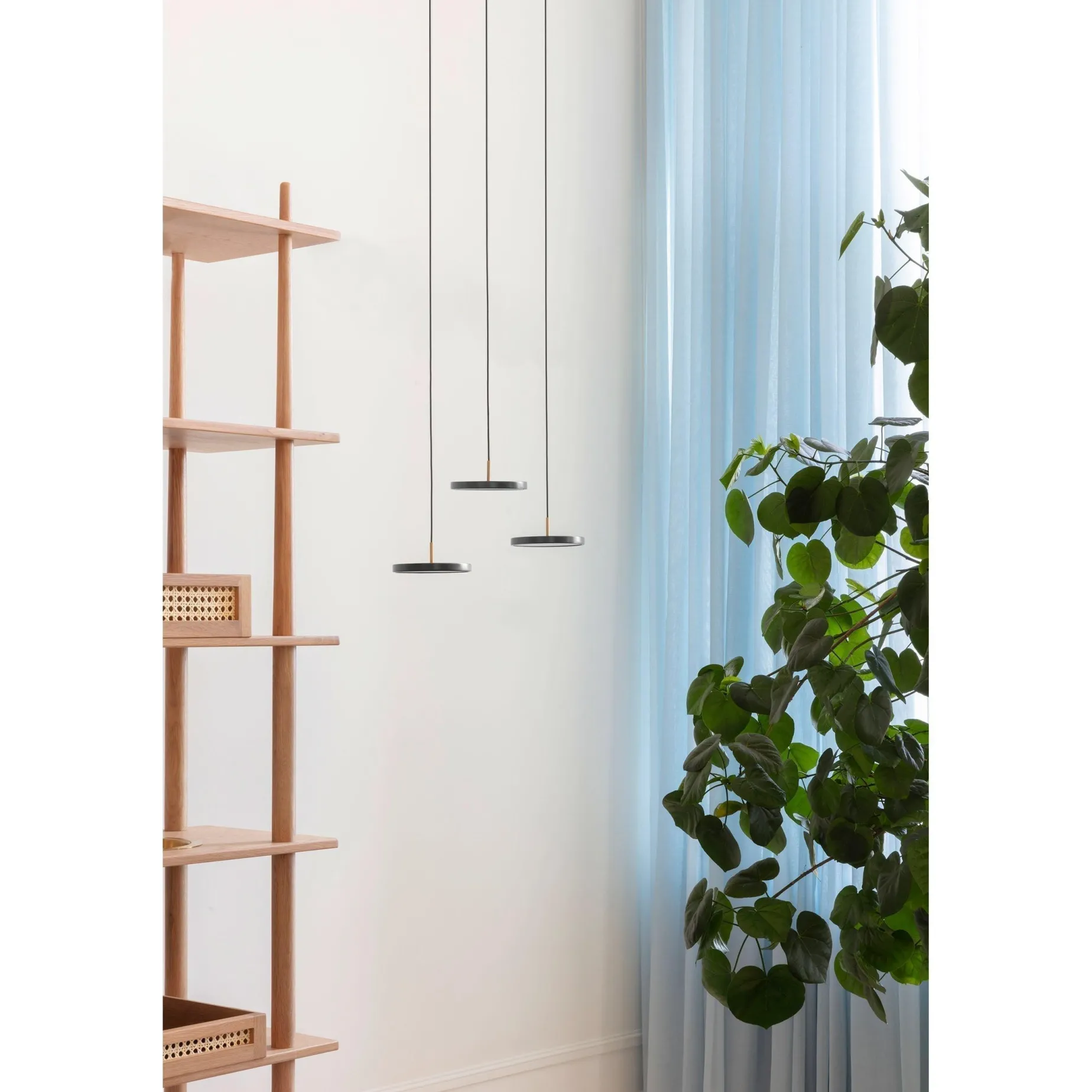 Asteria micro 15 | nuance olive