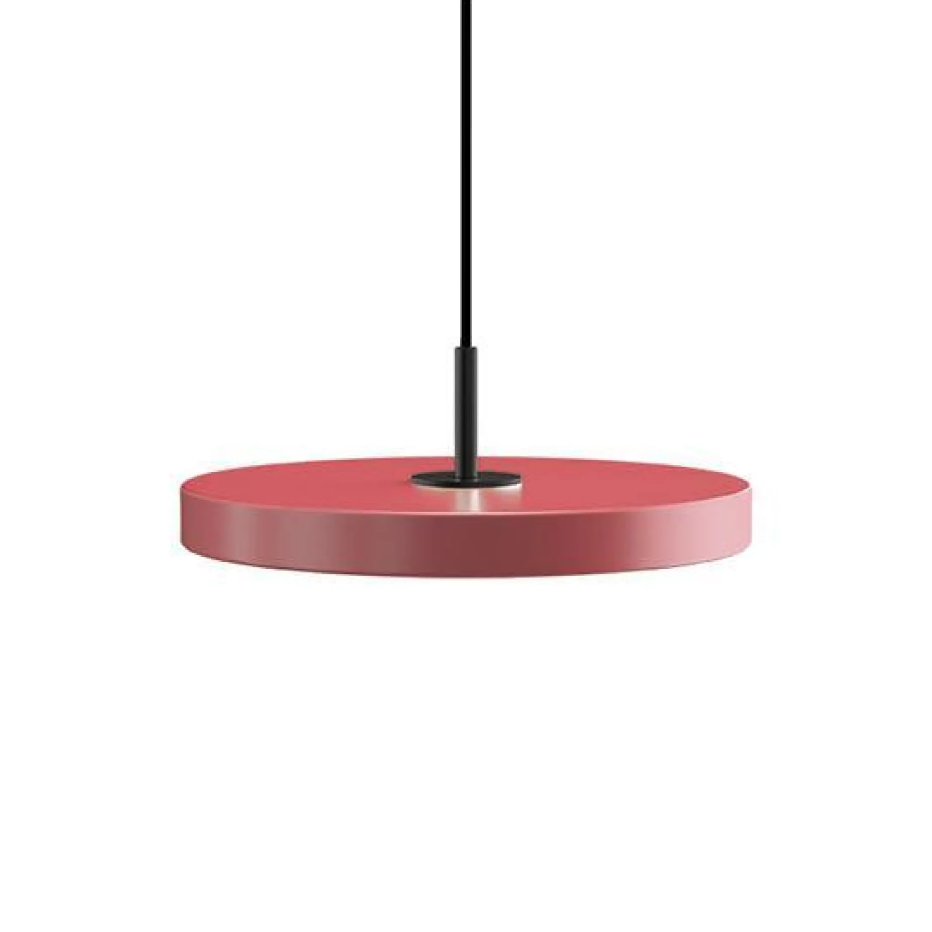 Asteria mini 31 | nuance rose