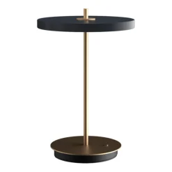 Asteria move portable | nuance rose