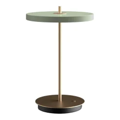 Asteria move portable | nuance rose