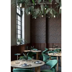 Asteria move portable | nuance olive