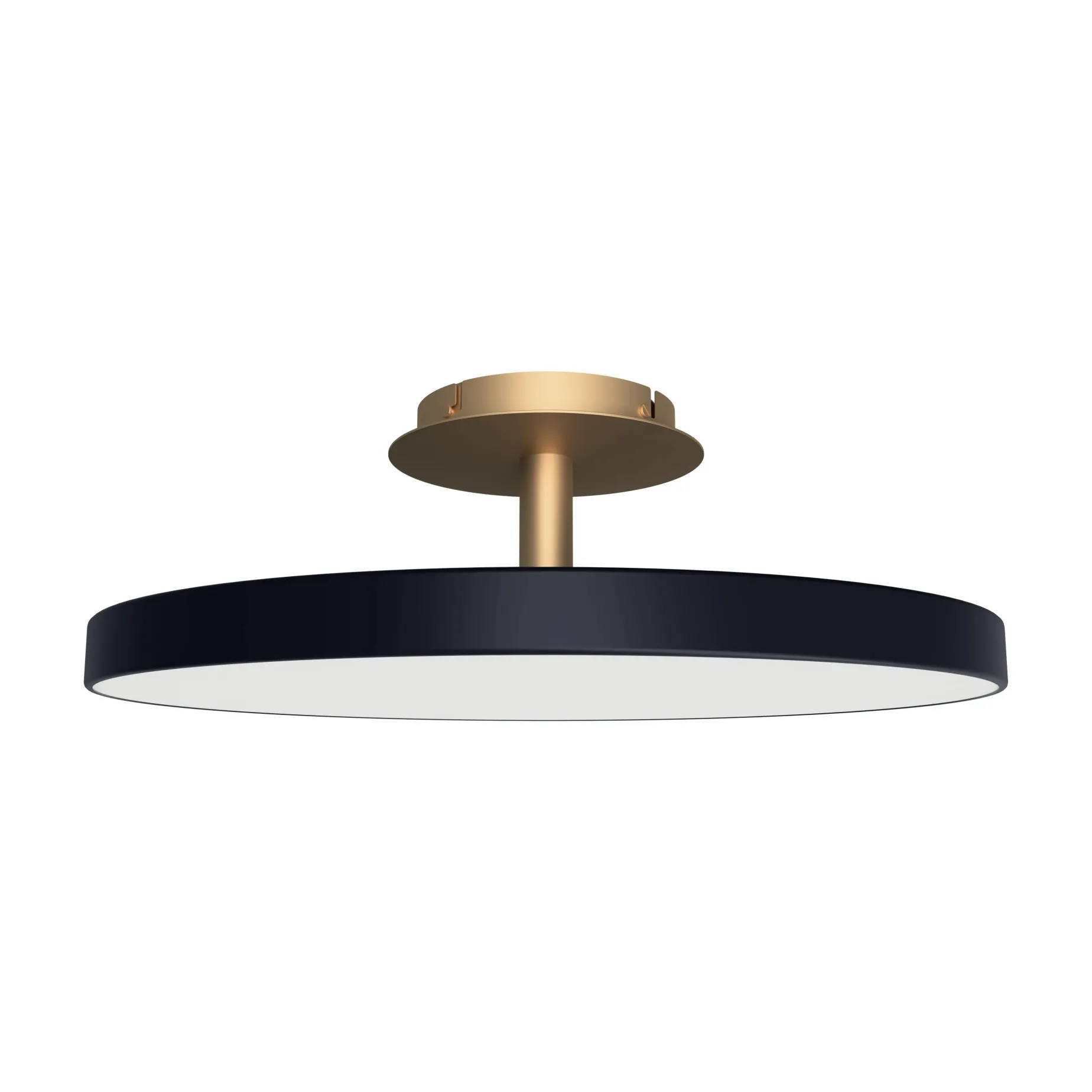 Asteria up | large anthracite