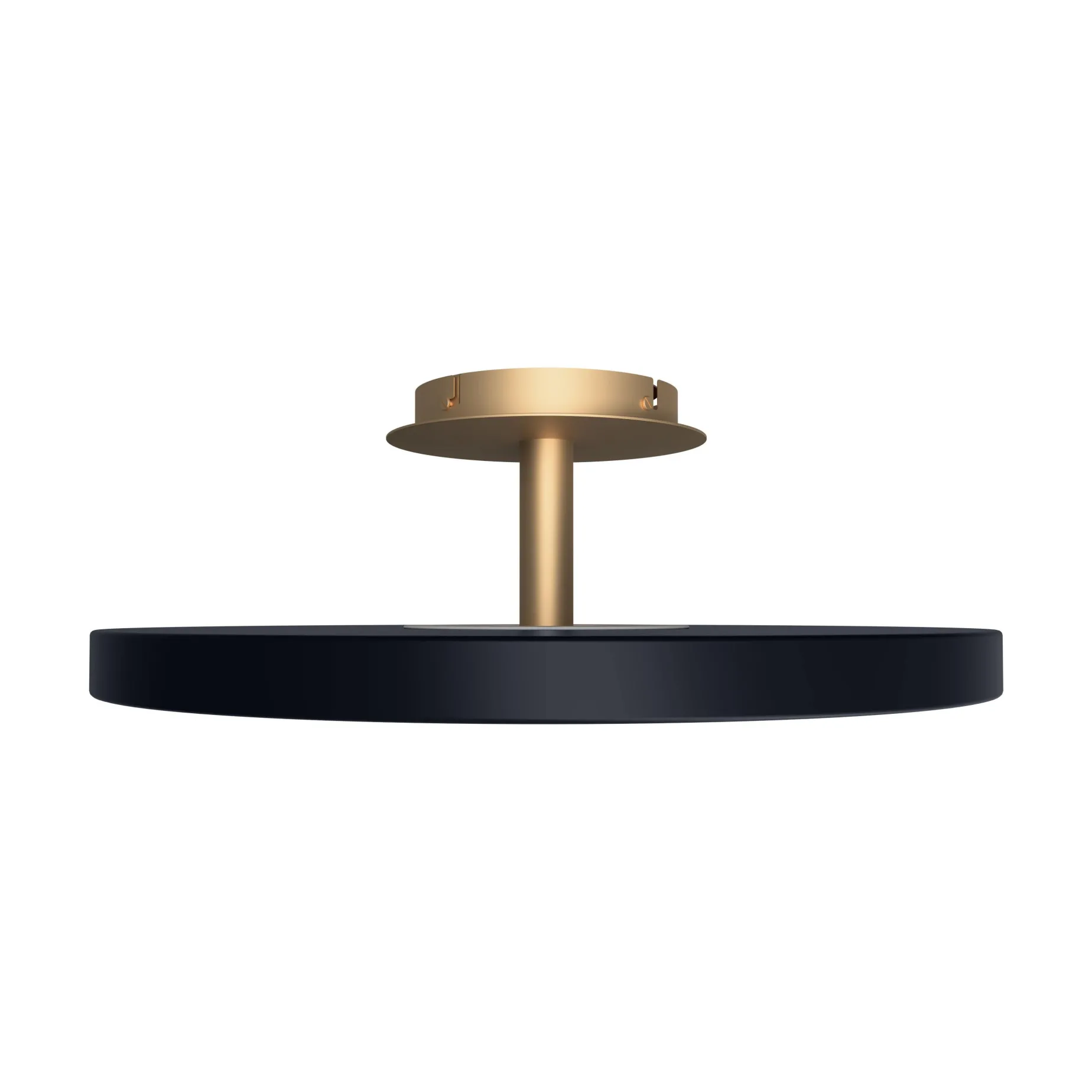 Asteria up | large anthracite