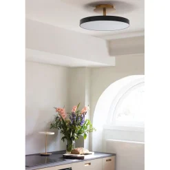 Asteria up | large anthracite