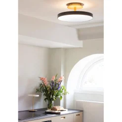 Asteria up | large anthracite