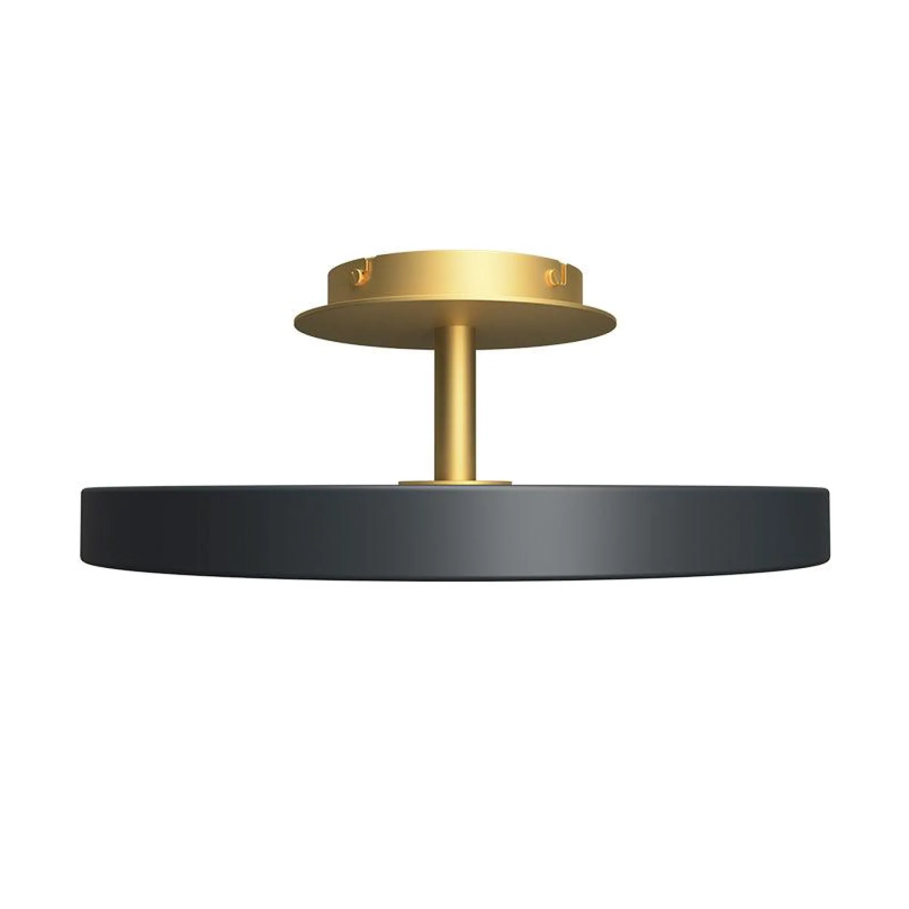 Asteria up | large anthracite