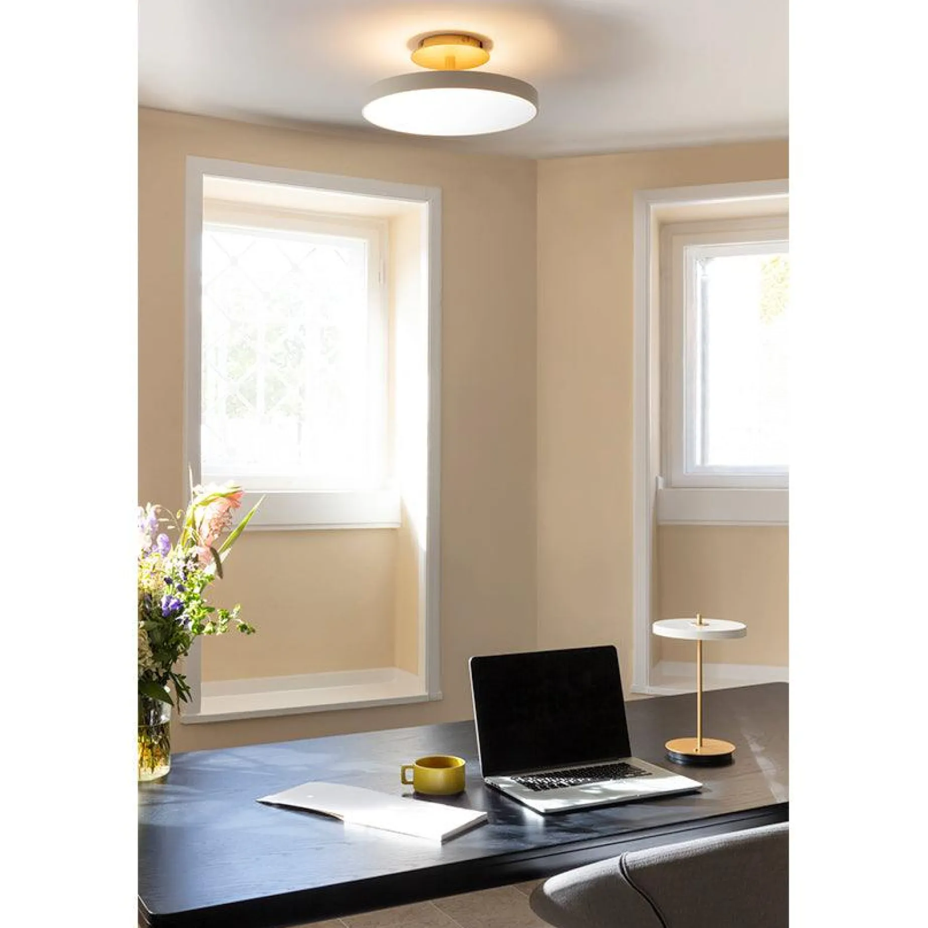 Asteria up | large anthracite