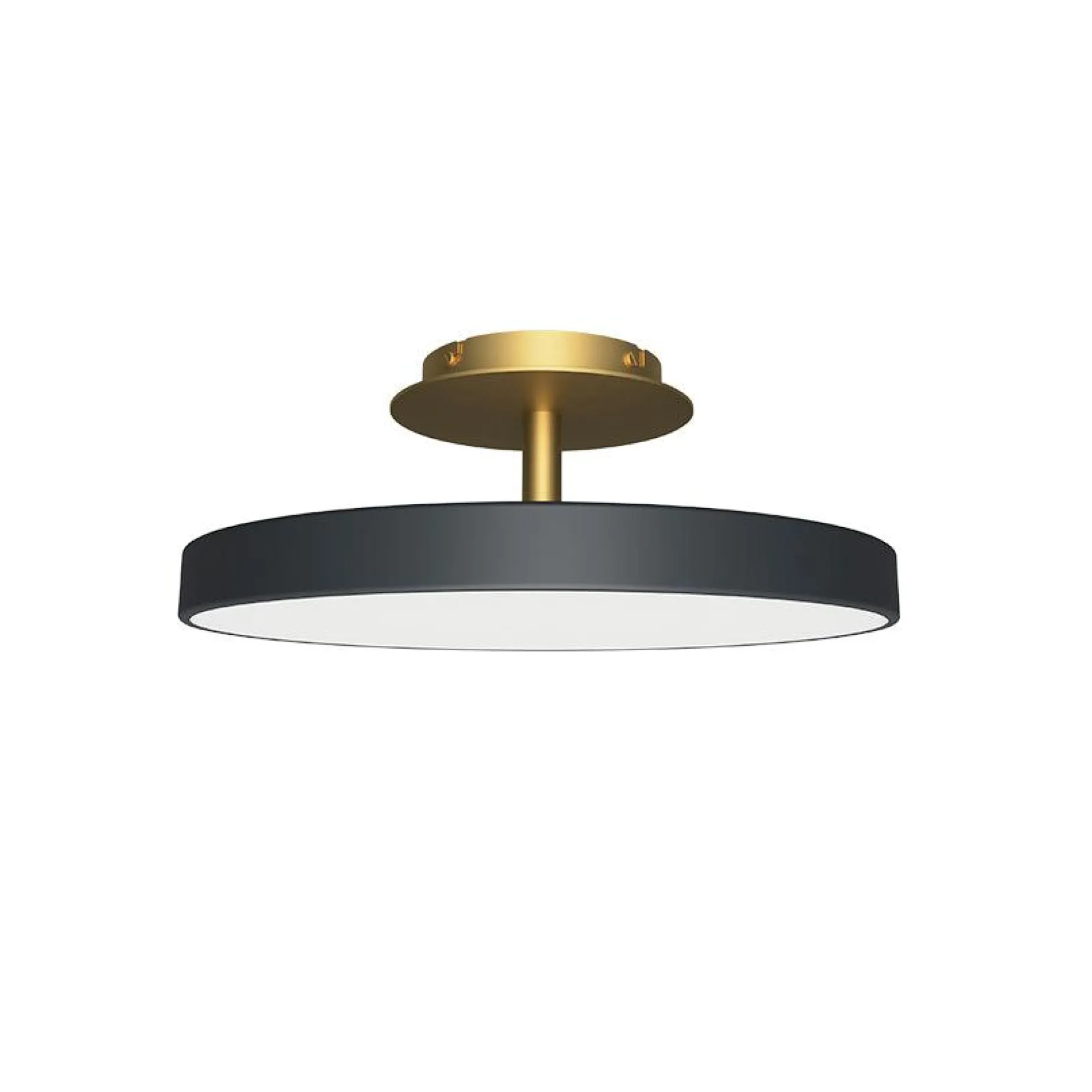Asteria up | large anthracite