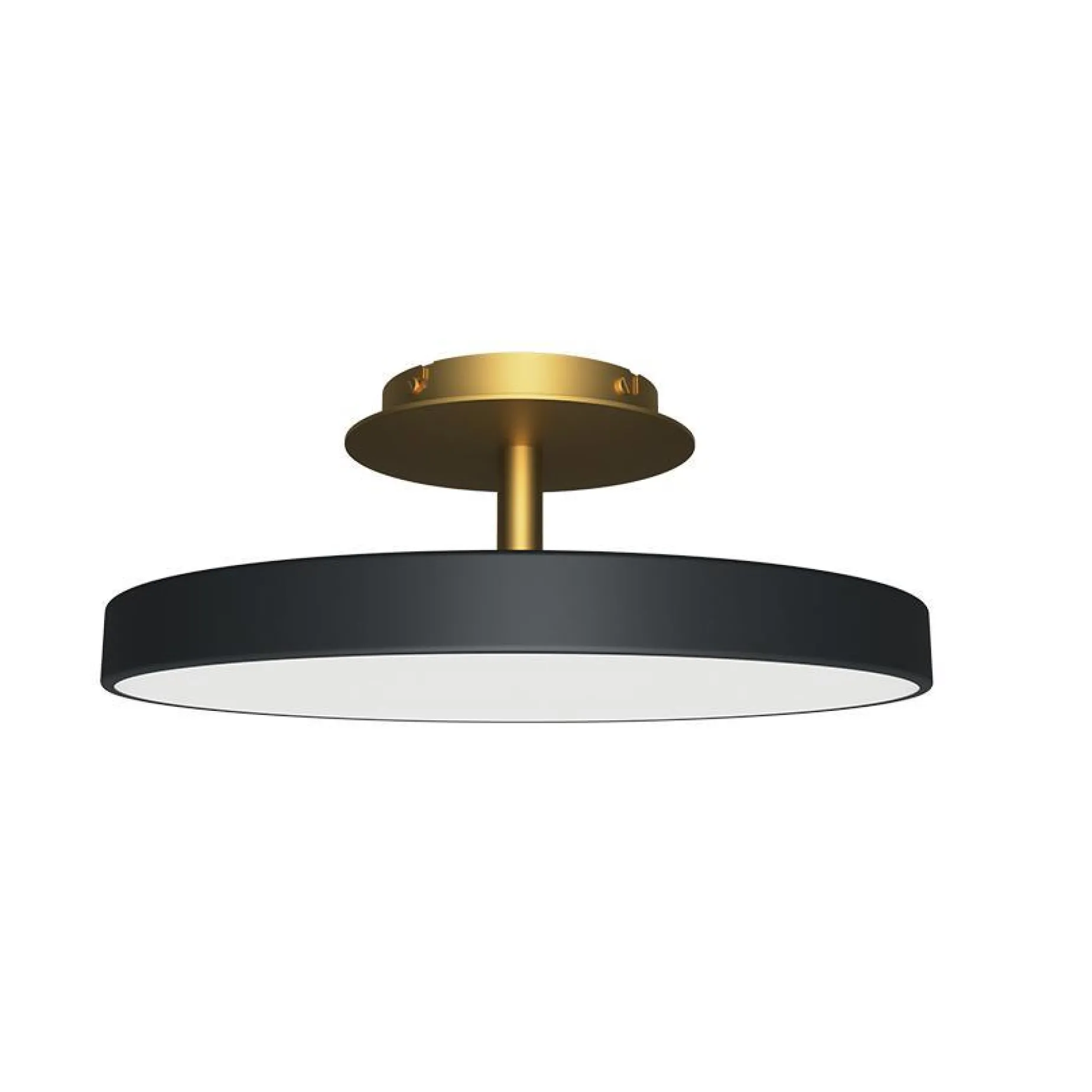 Asteria up | medium anthracite