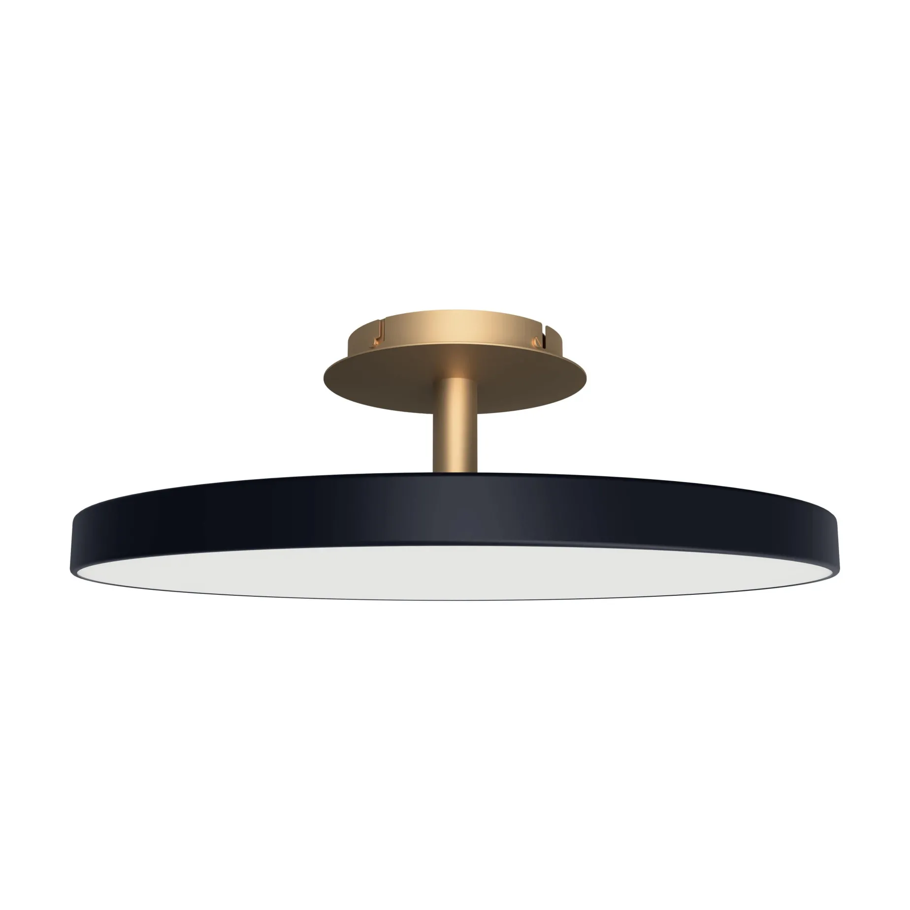 Asteria up | medium white pearl