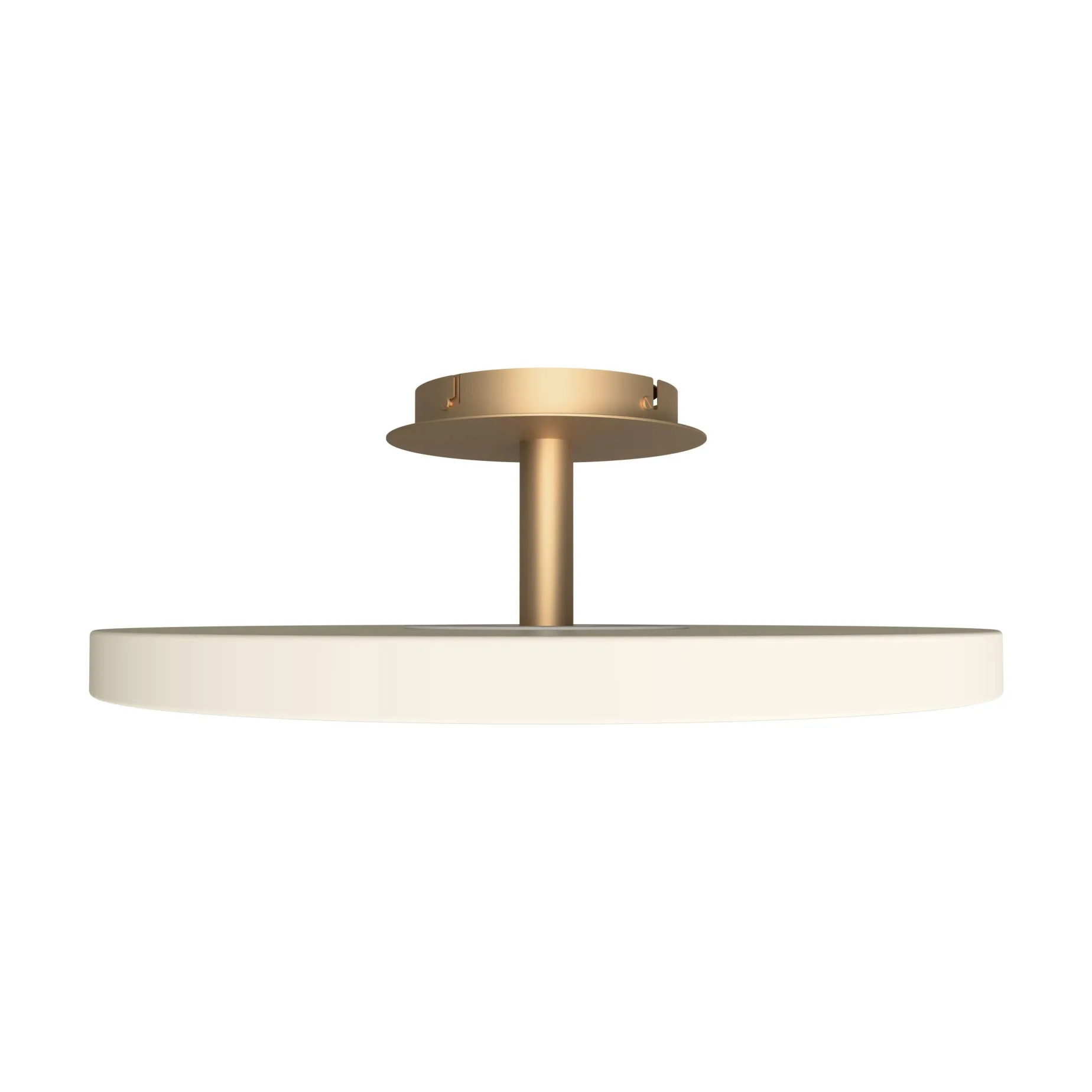 Asteria up | medium white pearl