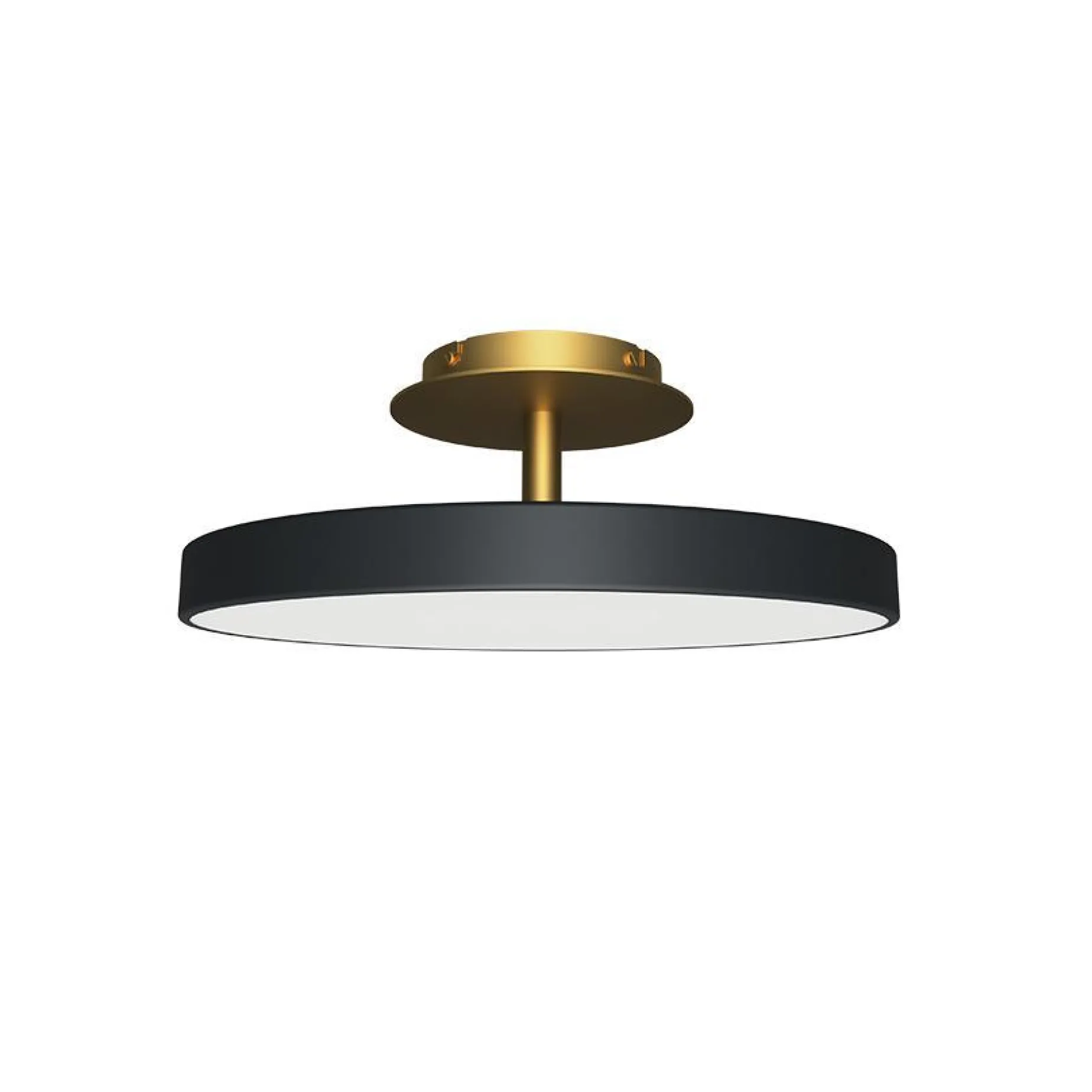 Asteria up | medium white pearl