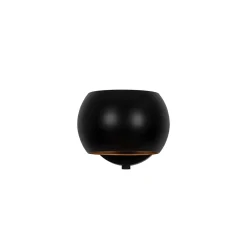 Belir w | brown