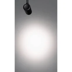Coco ⌀4,2 magnetic 24V | white