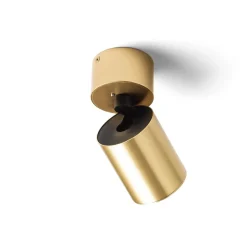 Dario c | brushed brass