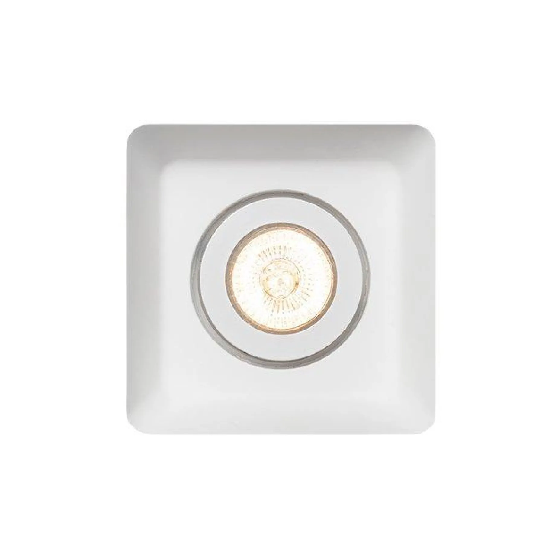 Dino I | white