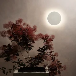 Eclipse round 30 | matt concrete