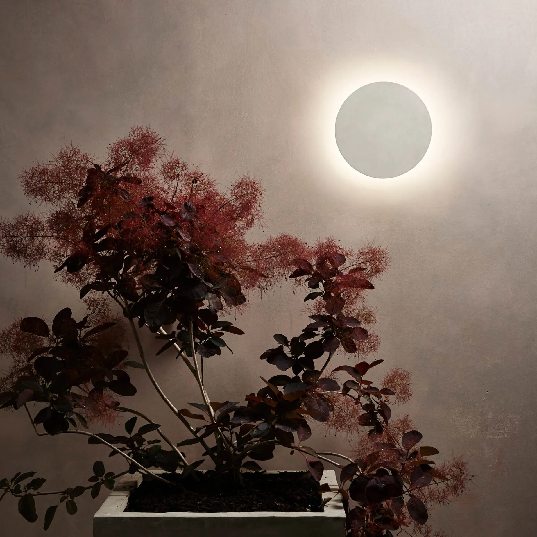Eclipse round 30 | matt concrete