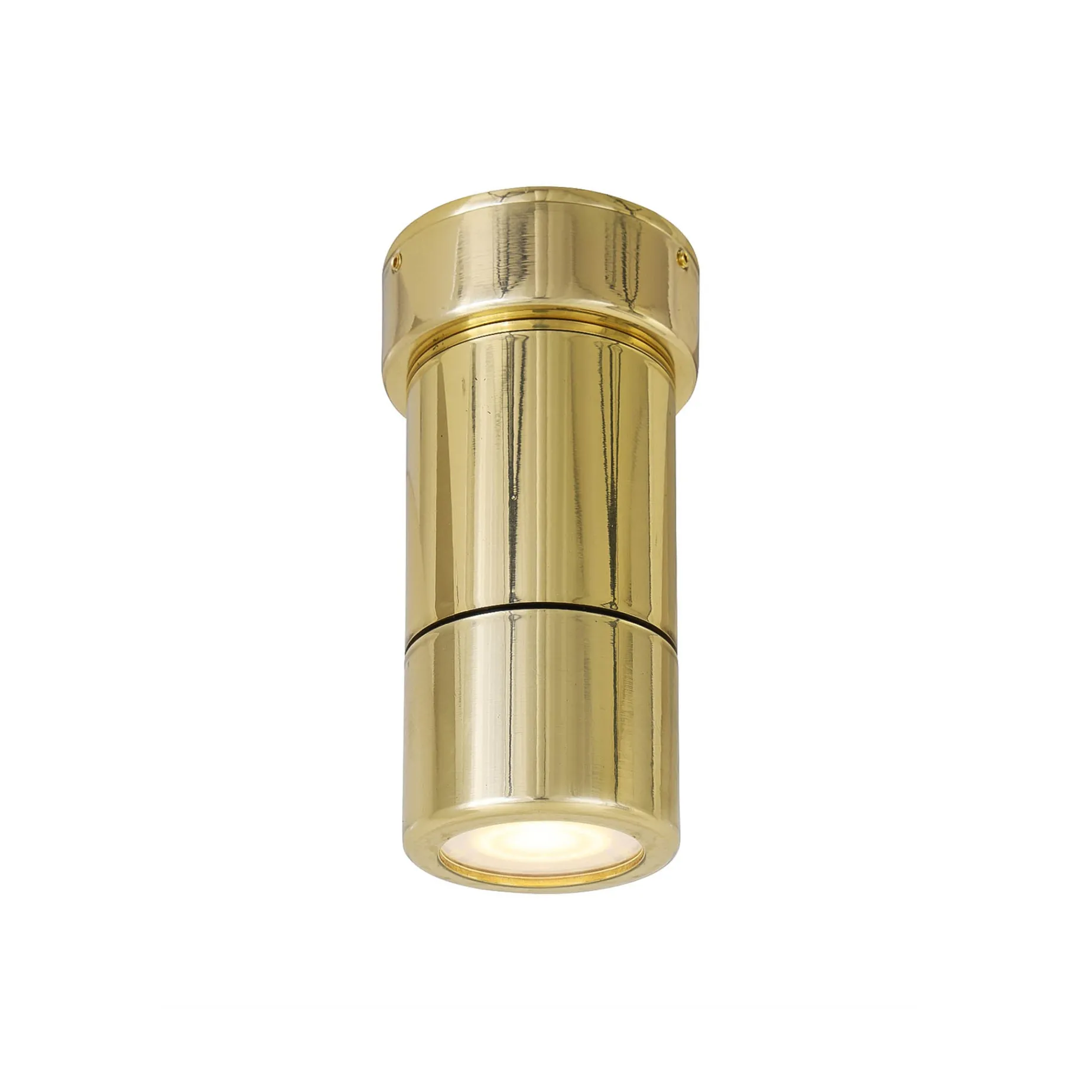 Ennis ceiling IP | brass