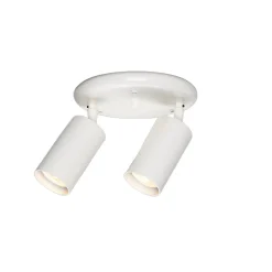 Evanston brass 2-spotlight | satin brass