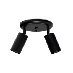 Evanston brass 2-spotlight | satin brass