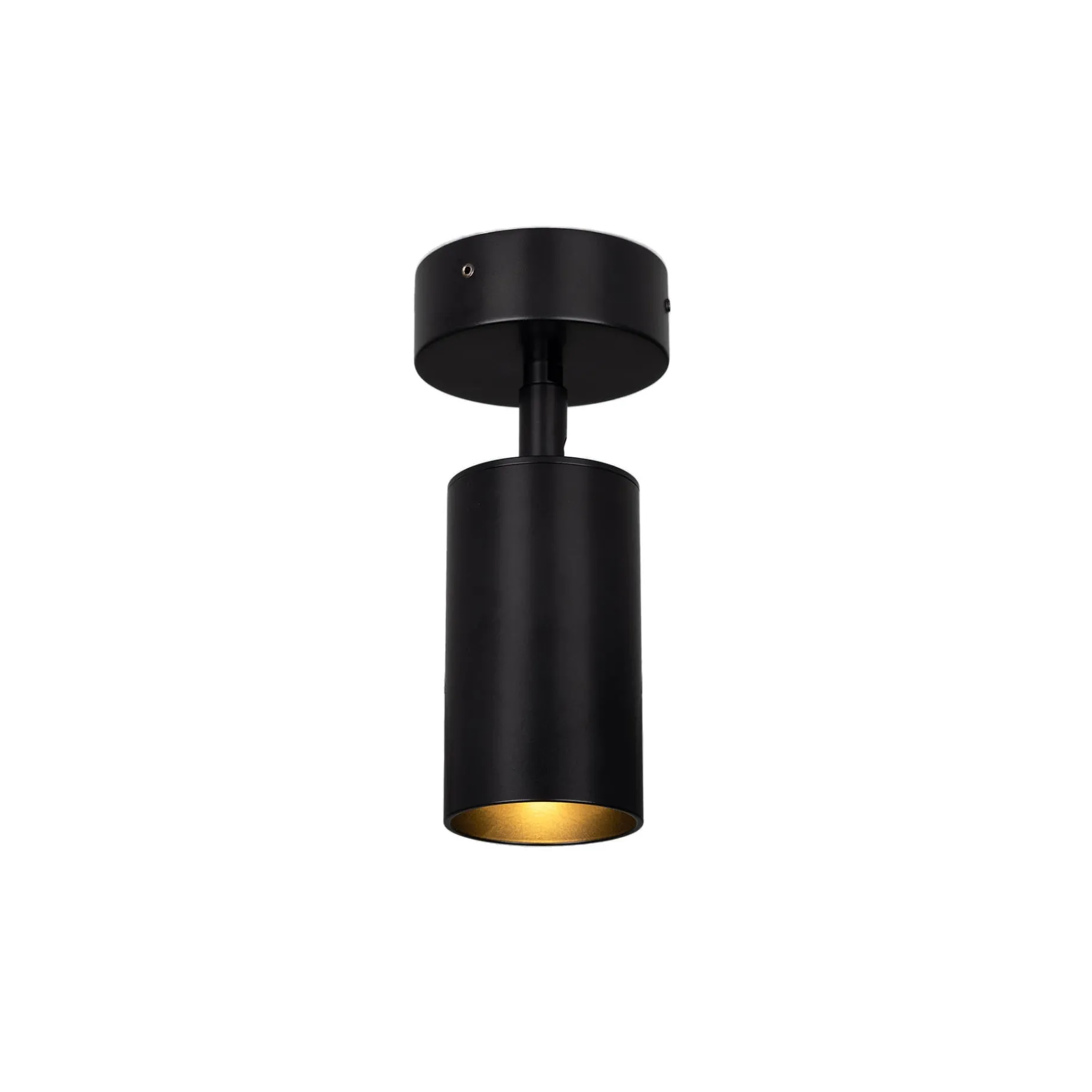 Evanston brass spotlight | polished brass