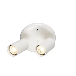 Evanston brass 2-spotlight | antique brass