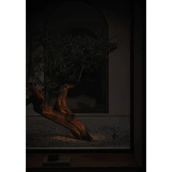 Flash outdoor | textured black grey