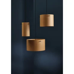 FM1954 veneer large ø41 | walnut
