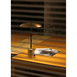 Hoshi | satin gold