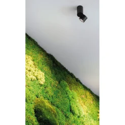 IO surface micro | black