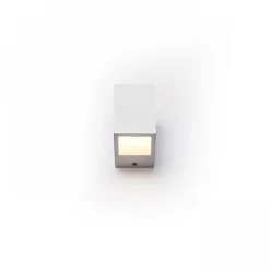 Jack w gesso | small